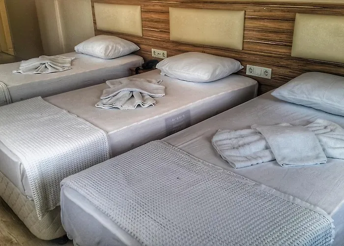 酒店 Aziz Arslan Ayvalı